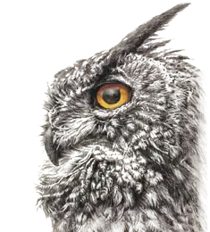 Artify 何葉畫室|線上水彩與油畫課程 3 shape image